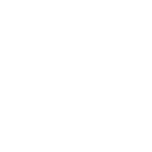 Premium quality medal icon